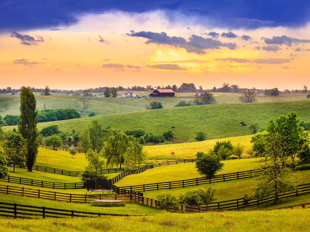 Rolling fields of Kentucky at sunset