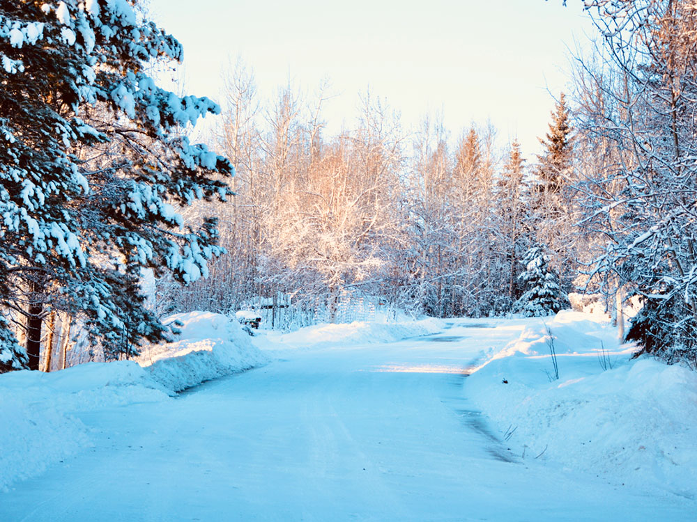 A picture of a snow-covered road passing through a tranquil forest