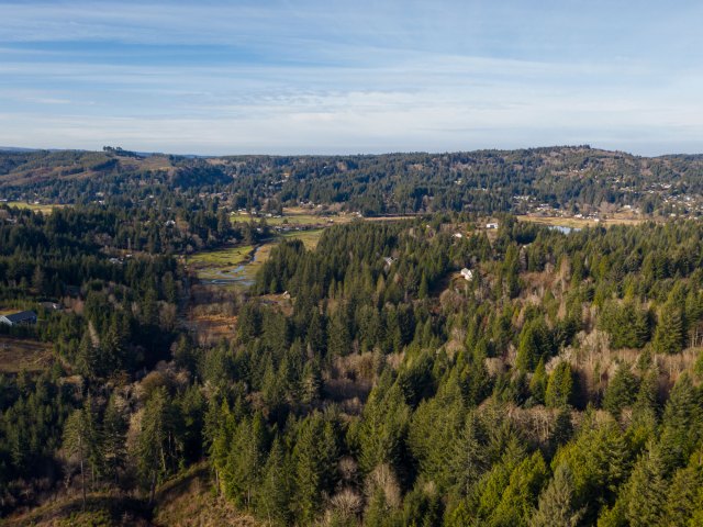 Aerial view of hilly forest landscape in Oregon