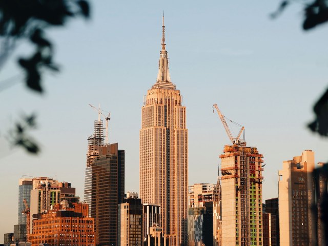 A picture of the Empire State Building fringed by trees