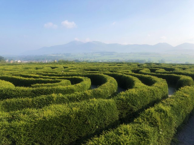 Overview of the Peace Maze inCastlewellan, Northern Ireland