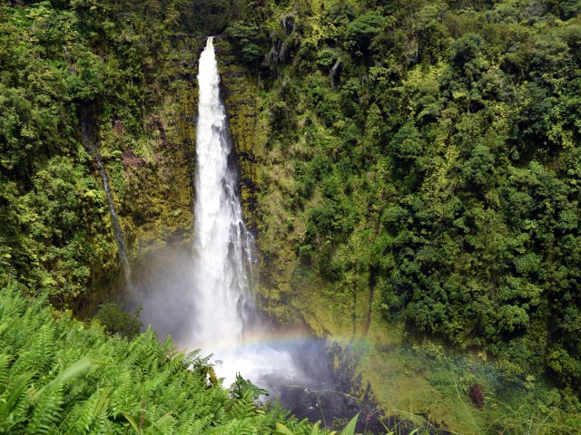 Rainbow over waterfall in lush Hawaiian jungle, seen from above