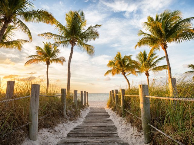 Sandy pathway lined with palm trees leading to Florida beach