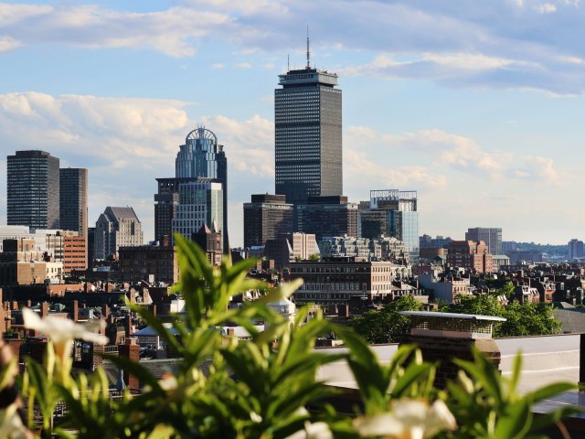 View of Boston skyline beyond foliage