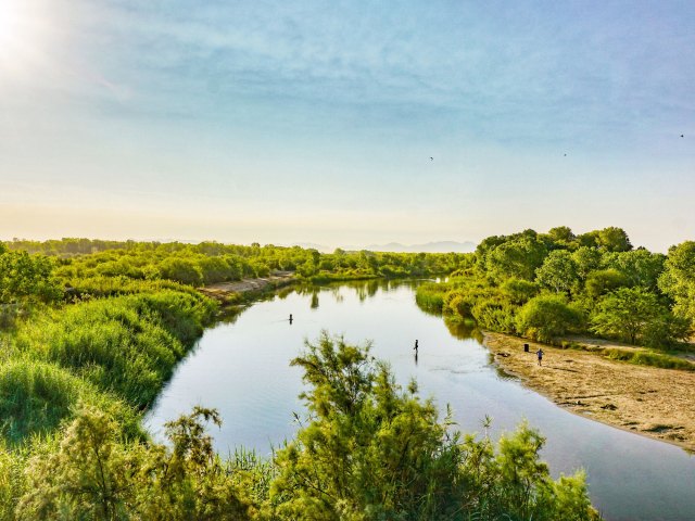 A picture of a wide river lined with green trees under a blue sky