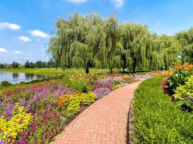 Pathway through flowers in the Chicago Botanic Garden