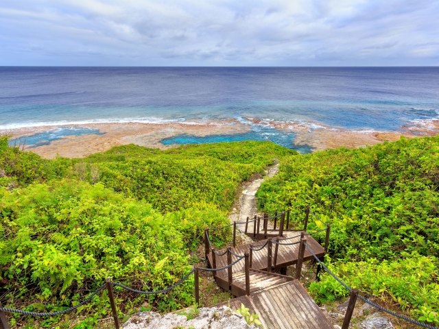 Staircase leading down hillside to coast in Niue