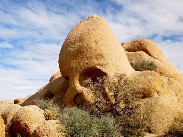 Skull Rock at Joshua Tree National Park in California