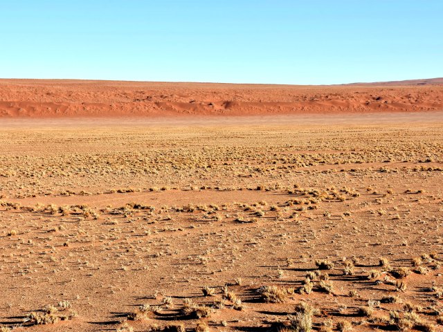 Landscape of Africa's Namib Desert with "fairy circles" in sand