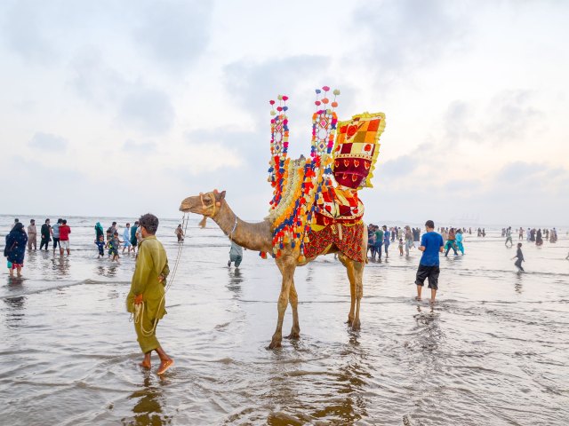 Man walking camel on Karachi Clifton Beach in Pakistan
