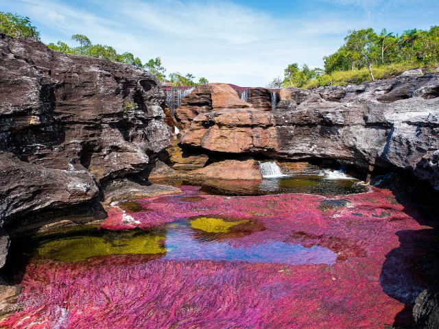 Striking red and green colors in Colombia’s Caño Cristales river