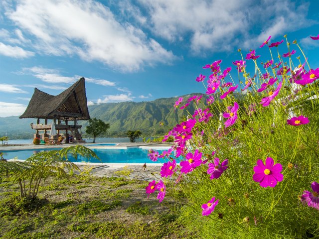 Flowers framing pool and mountains on Indonesian island of Sumatra