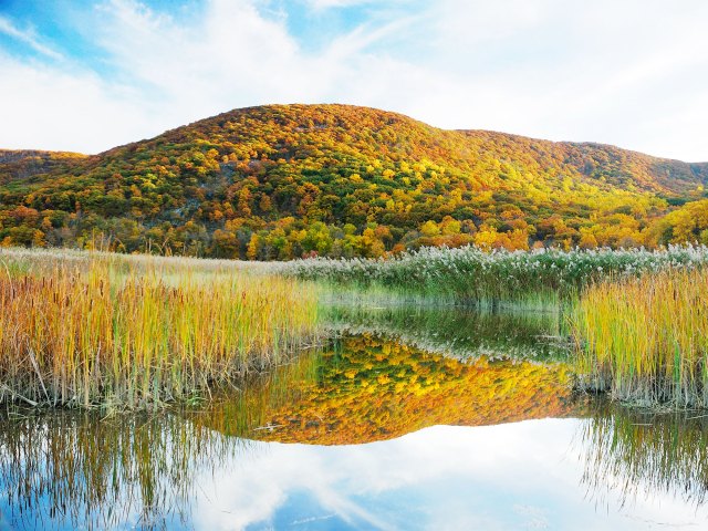 Pond and tree-covered hills outside of New Paltz, New York