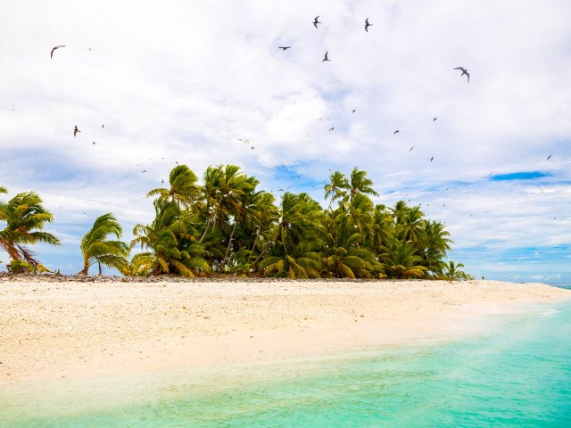 Birds flying over palm trees, white sands, and turquoise waters in Tuvalu