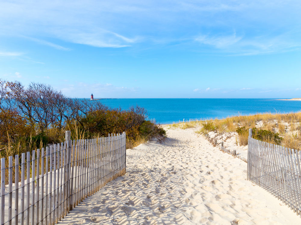 Sandy pathway leading to Delaware beach