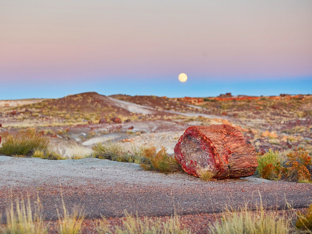Landscape of Petrified Forest National Park in Arizona