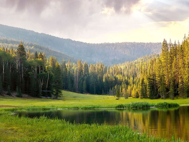 Pond surrounded by forested mountains in Beaver, Utah