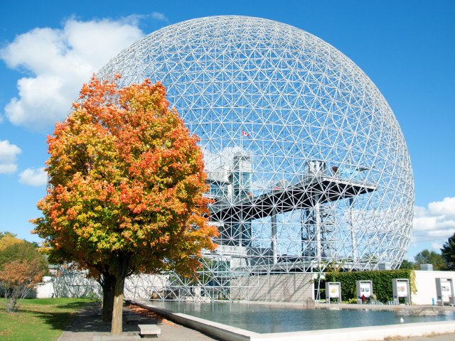 Geodesic dome structure of the Montreal Biosphere behind a tree