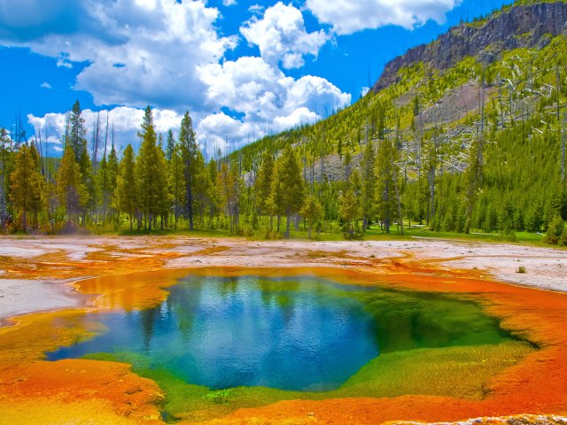 Colorful thermal pool at Yellowstone National Park