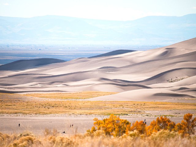 Rolling sand dunes in Colorado's Great Sand Dunes National Park and Preserve