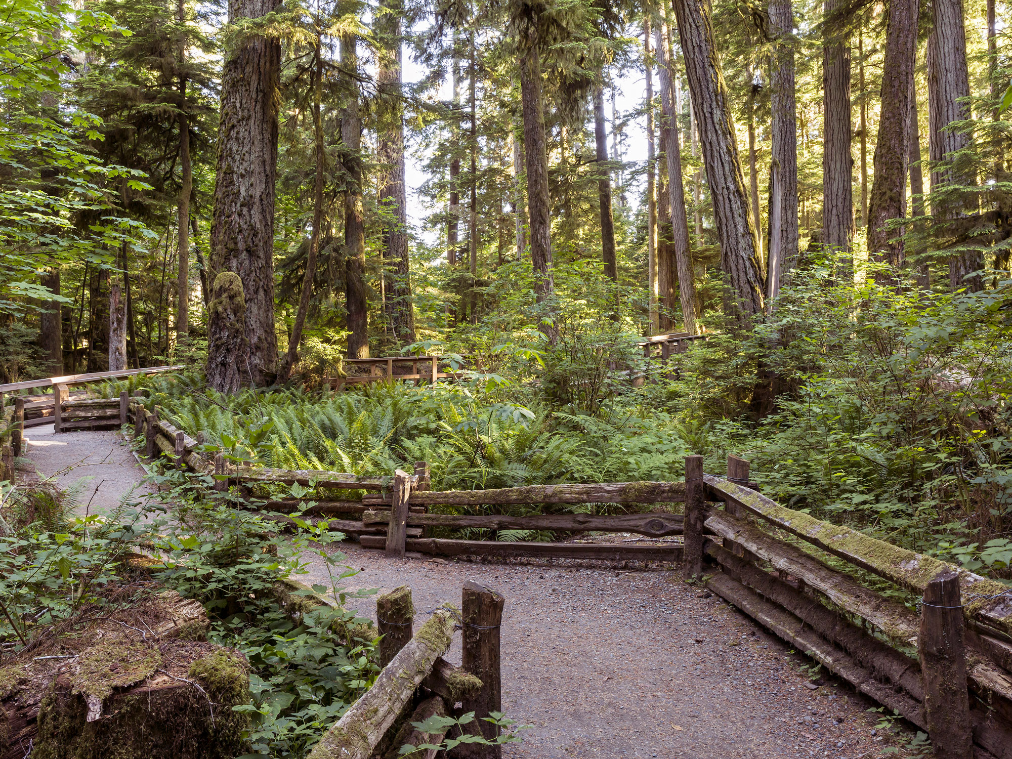 7 of Canada’s Most Unique Natural Wonders — Daily Passport