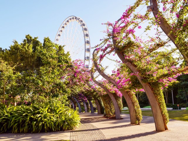 Park and Ferris wheel in Brisbane, Australia