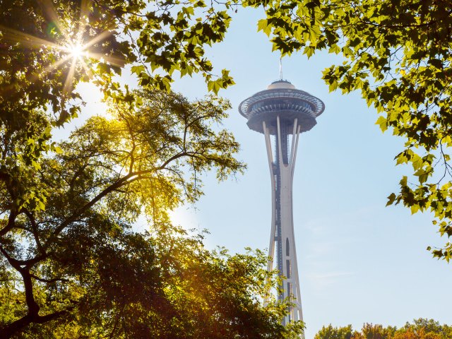 View of Seattle's Space Needle between trees