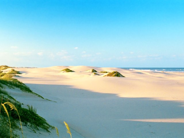 Sand dunes along beach on Padre Island, Texas