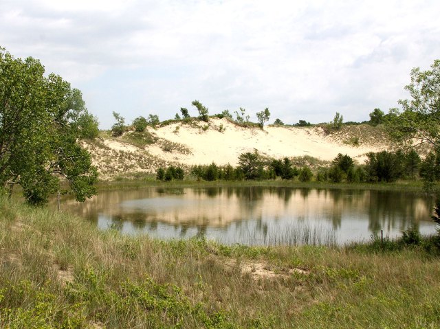 Pond surrounded by sand dunes in Indiana Dunes National Park