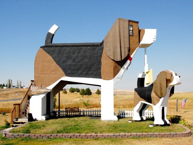 Hotel shaped like a giant beagle in Cottonwood, Idaho