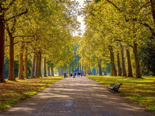 People strolling on shady path in London's Hyde Park