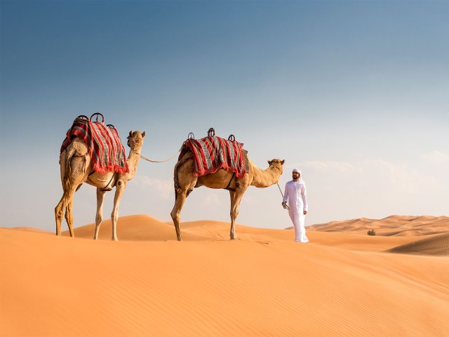 Two camels and herder on sand dunes