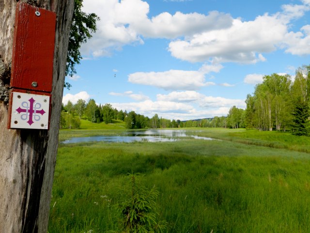 Sign next to boggy field indicated St. Olva's Way in Norway