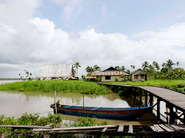 Boat docked in Asmat Swamp of Indonesia
