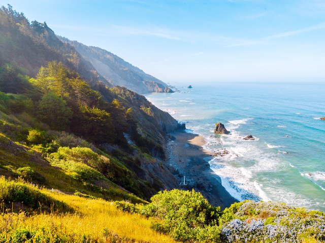 Coastal cliffs and Pacific Ocean below in Humboldt Redwoods State Park in California