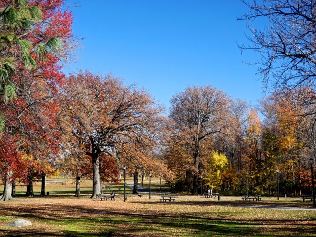 Pelham Bay Park in the Bronx, New York City