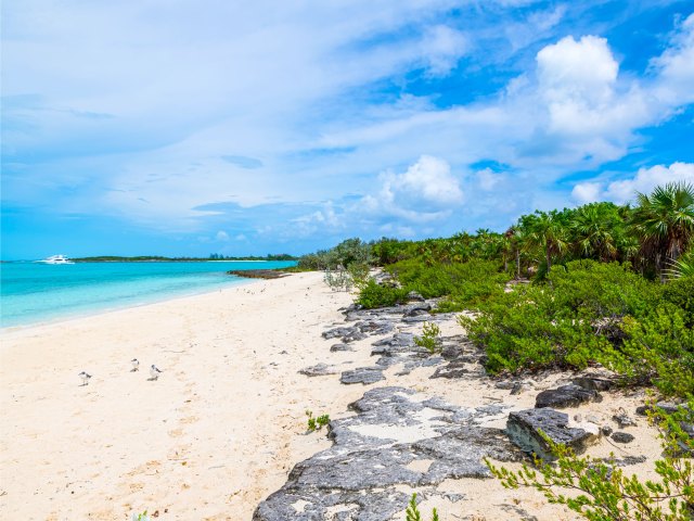 Beach on Big Major Cay in the Bahamas