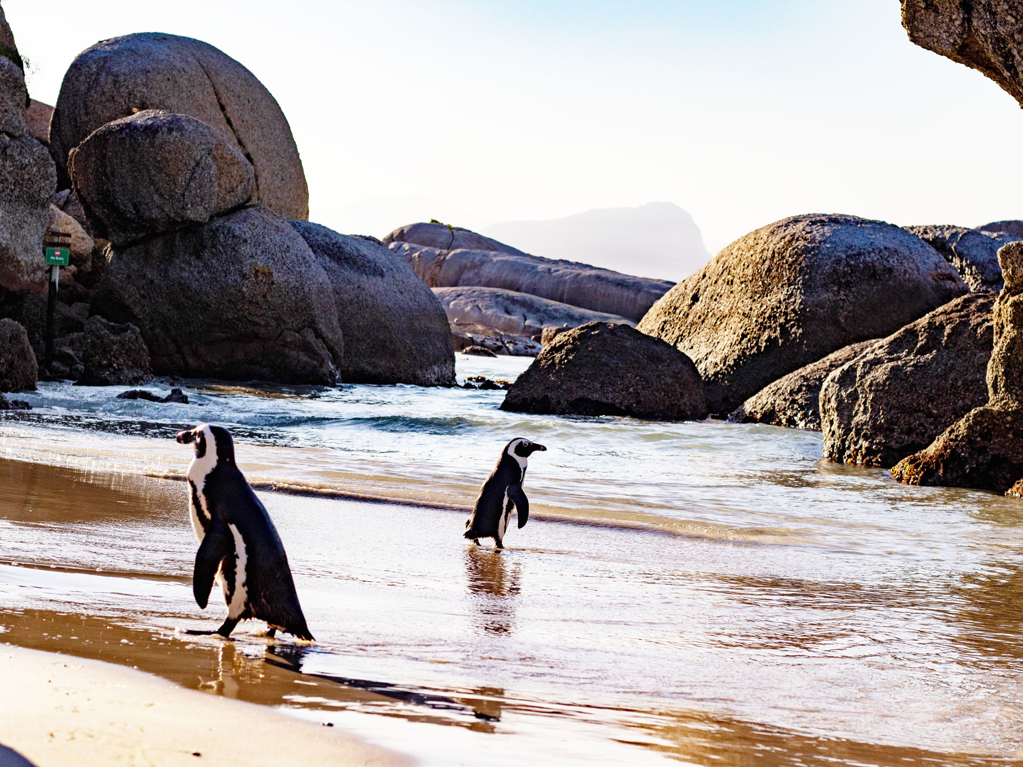 From Yanks To...What? Aussie Nicknames Explained - yerkbkm