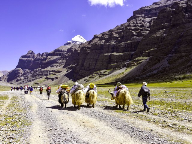 Pack animals and hikers on trail leading to Mount Kailash in Tibet