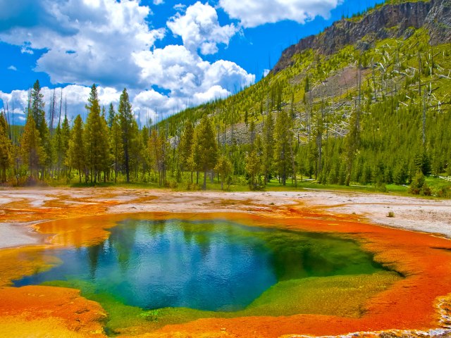 Multi-colored thermal hot spring in Yellowstone National Park