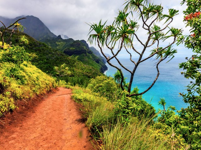 Clifftop coastal trail in Kauai