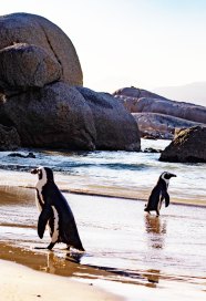 6 Interesting Country Nicknames Explained Daily Passport