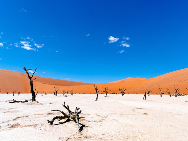 Barren landscape surrounded by sand dunes in Dead Vlei in Namibia