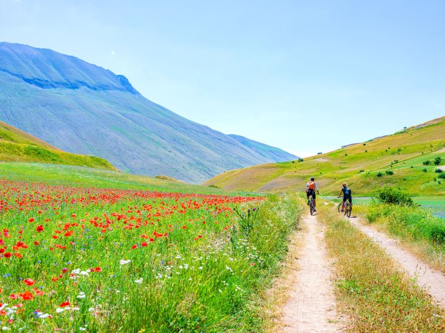 Bikers on flower-field meadow in Castelluccio, Italy