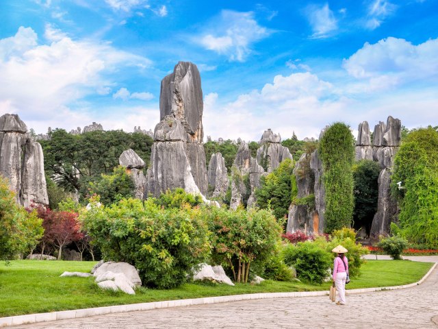 Person observing karst landforms in China's Stone Forest
