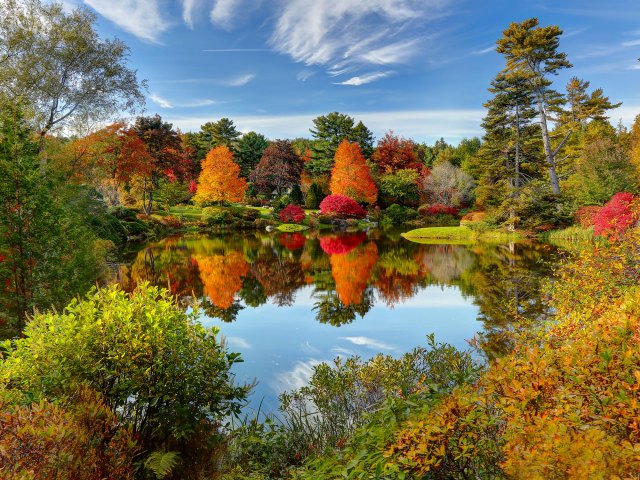 Pond surrounded by orange, red, and yellow foliage in Bar Harbor, Maine