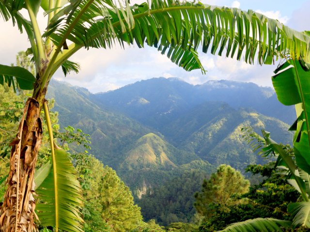 Image of the Mocho Mountains in Jamaica