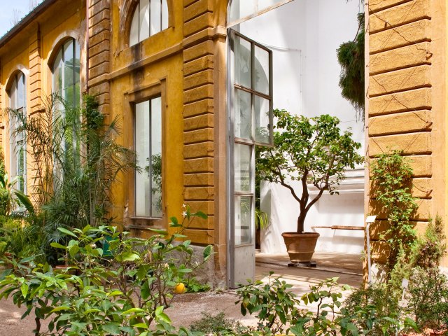 Windows decorated with plants in Florence, Italy