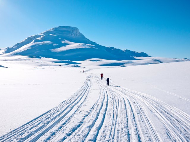 Image of skiers in snowy mountain landscape