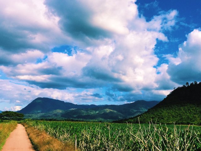 Image of fields and mountains in Yoro, Honduras